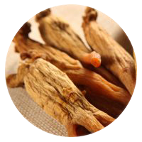 Asian Red Ginseng