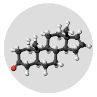 Androstenone Molecule