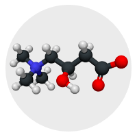 L-Carnitine